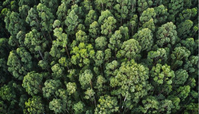 Eco-friendly reasons to buy refurbished electronics