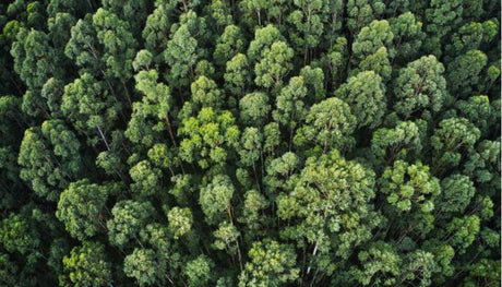 Eco-friendly reasons to buy refurbished electronics