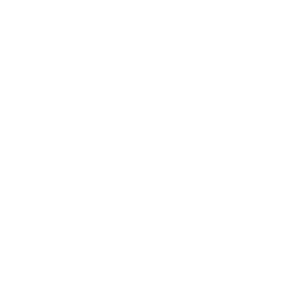 <p><strong>Dynamic & international environment</strong></p>